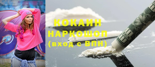 соль ск Алексин