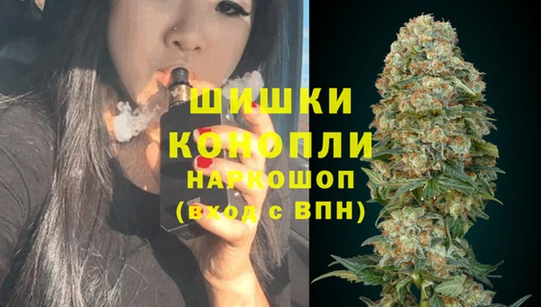 твердый Алзамай