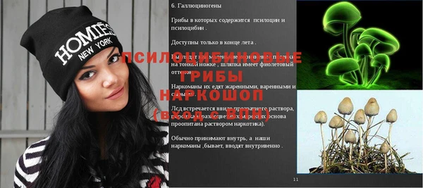 твердый Алзамай
